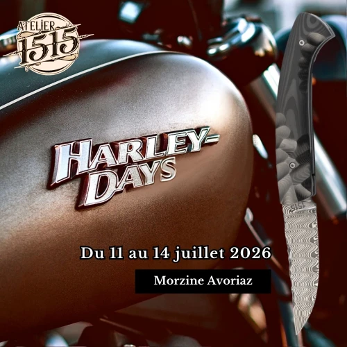 MORZINE HARLEY DAYS
